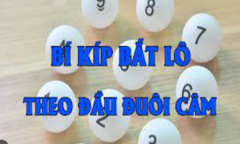 CÃ¡ch thá»©c soi cáº§u Äáº·c biá»‡t hÃ´m nay theo lÃ´ cÃ¢m