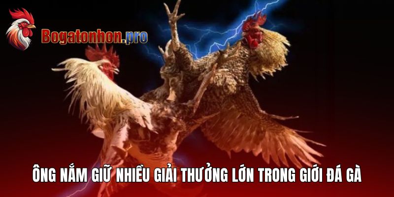 Ông nắm giữ nhiều giải thưởng lớn trong giới đá gà Ông nắm giữ nhiều giải thưởng lớn trong giới đá gà